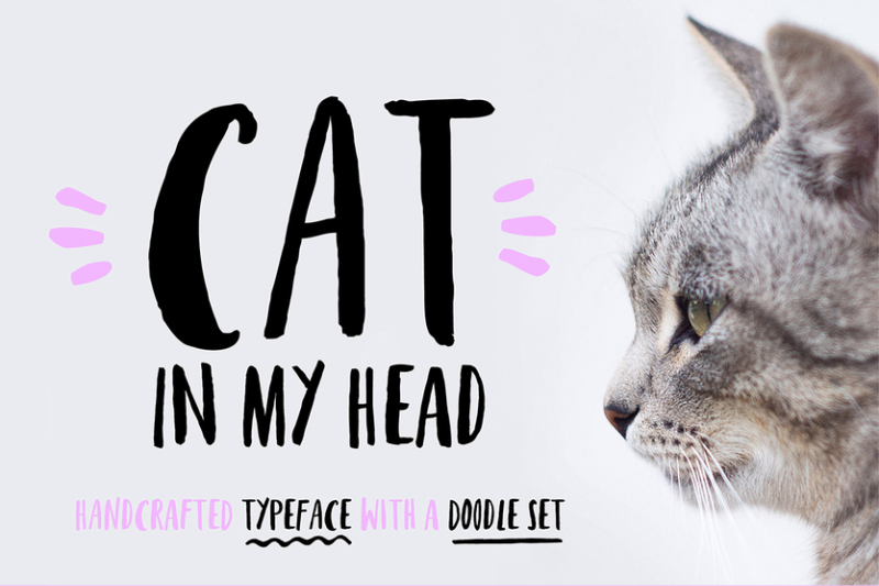 cat-in-my-head