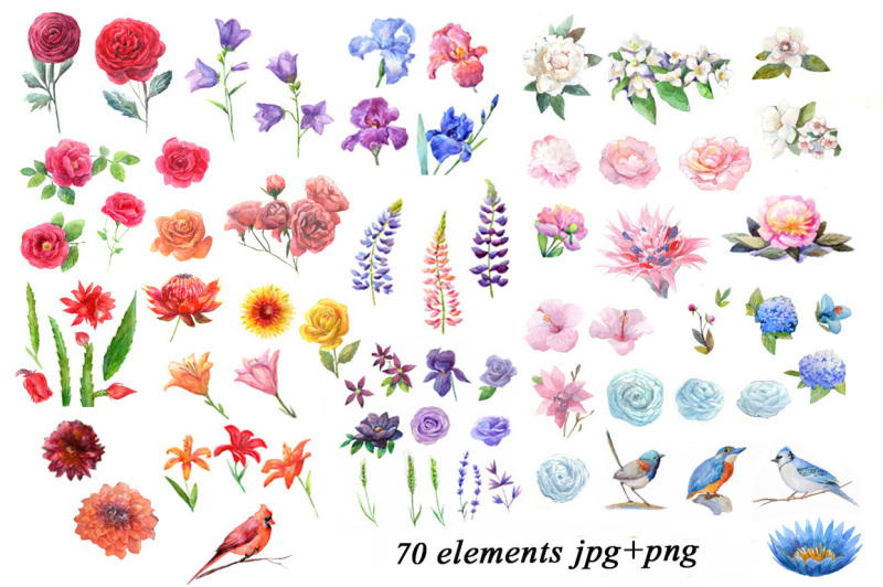 watercolor-flowers-birds