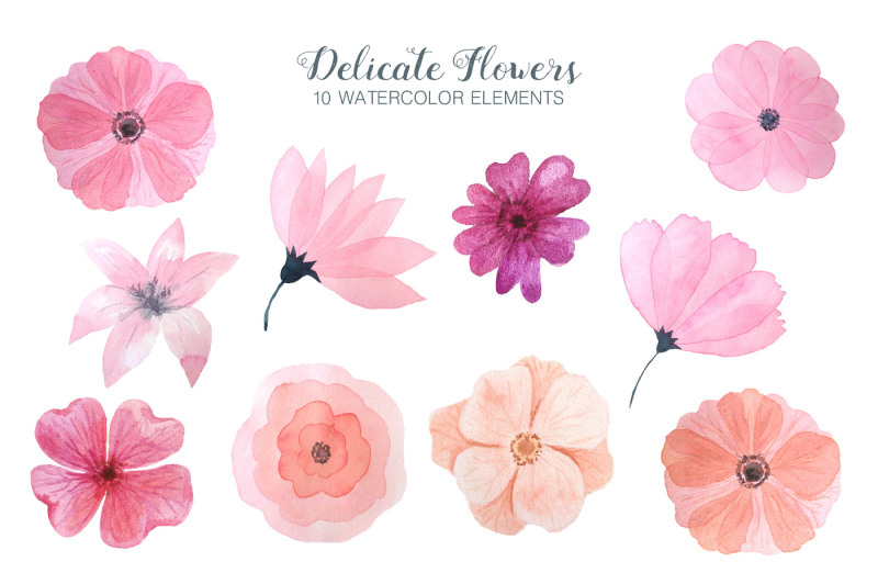 watercolor-delicate-pink-floral-set