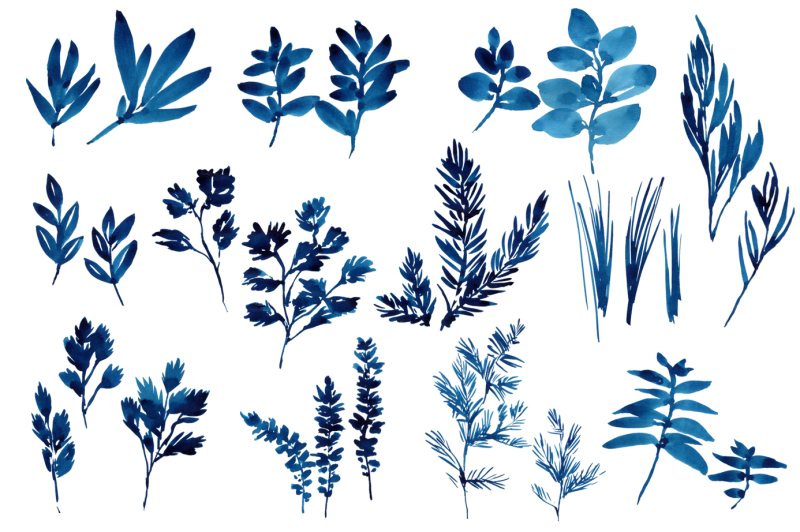 watercolor-herbs-leaves