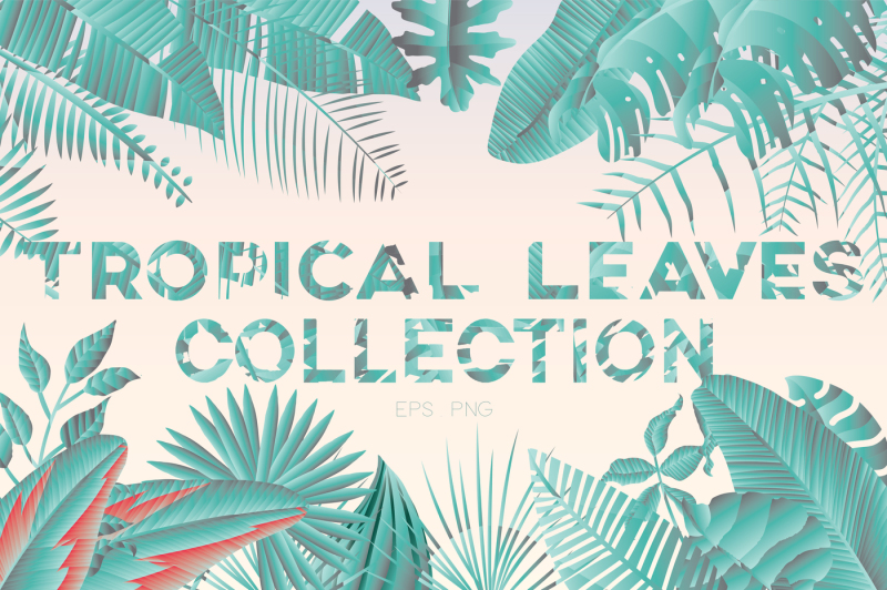 tropical-leaves-collection