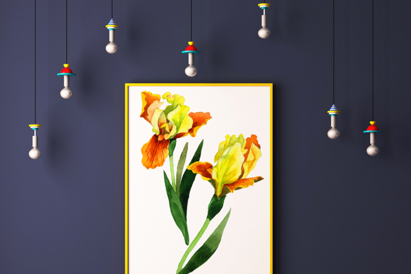 yellow-irises-watercolor-png-clipart