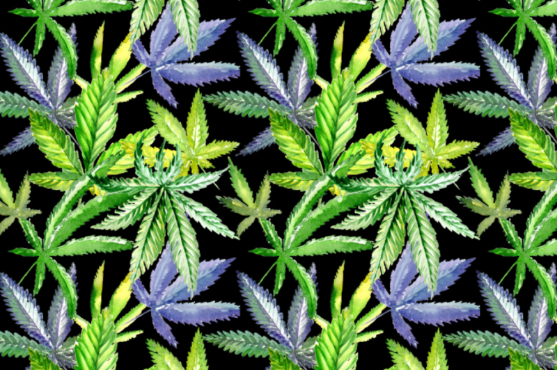 cannabis-watercolor-png-flower-set