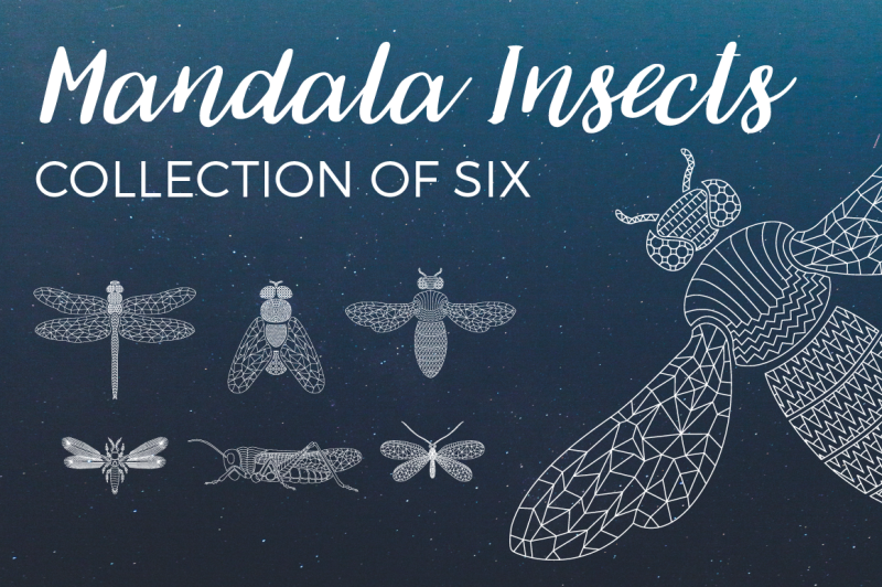 mandala-insects