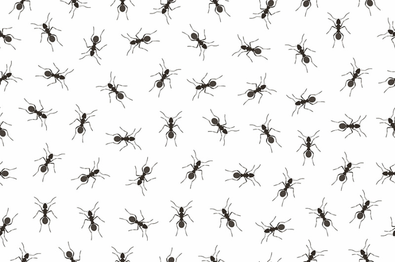 seamless-pattern-ants