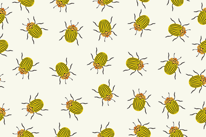 seamless-pattern-colorado-beetles