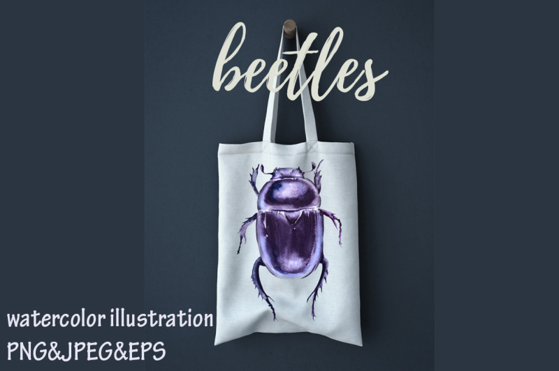 beetles-watercolor-illustration