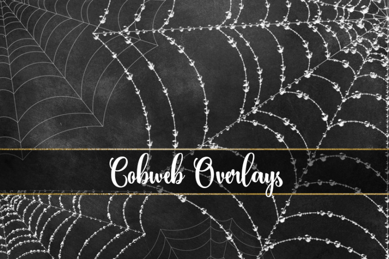 cobweb-overlays