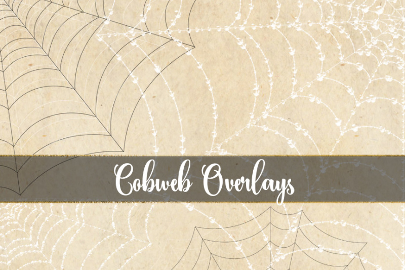 cobweb-overlays