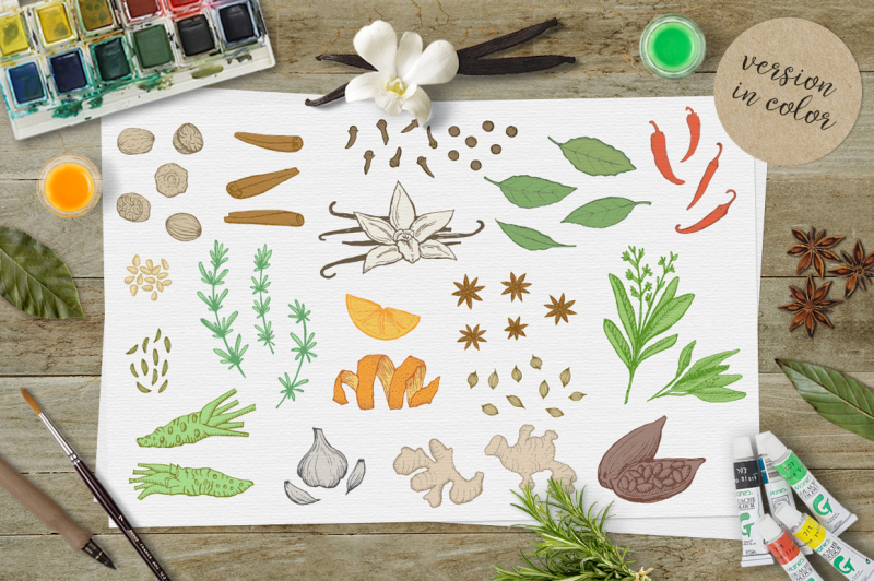 herbs-and-spices-sketches-vector-and-clipart