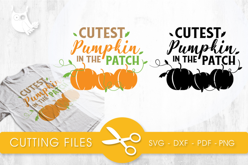 cutest-pumpkin-in-the-patch-svg-png-eps-dxf-cut-file