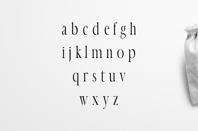 earywn-serif-3-font-family-pack
