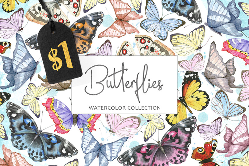 watercolor-butterflies-set