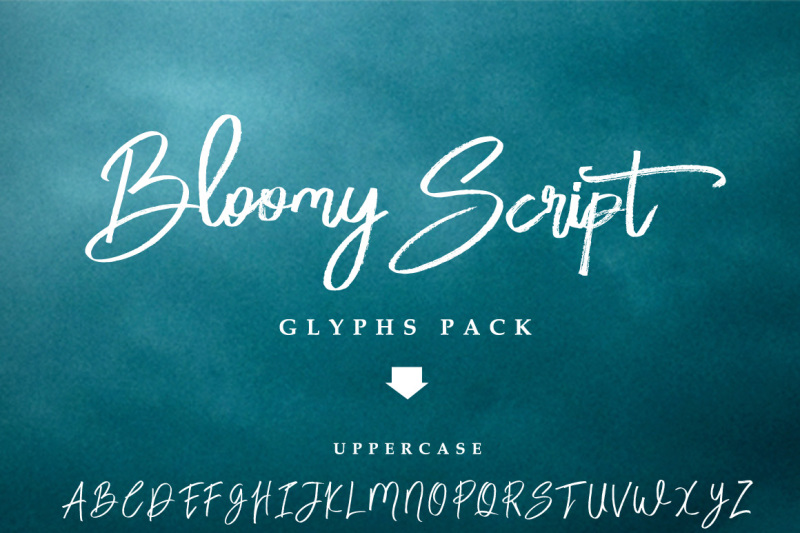 Bloomy Script Handwritting Font By Feydesign Thehungryjpeg Com