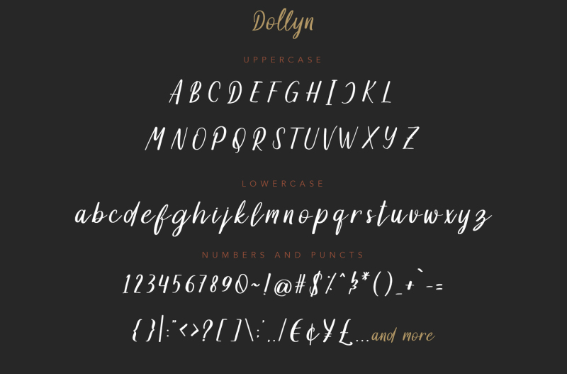 dollyn-script-casual-playful-font