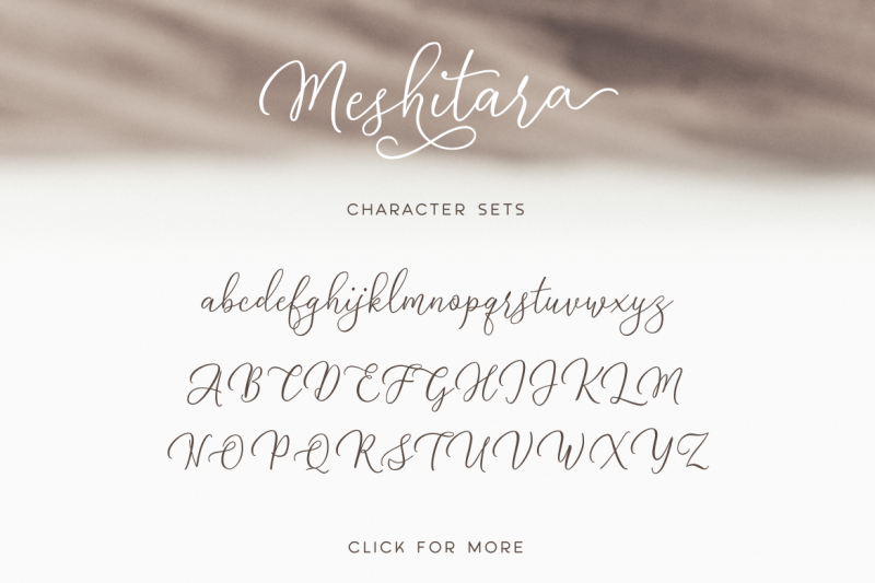 meshitara-font-duo
