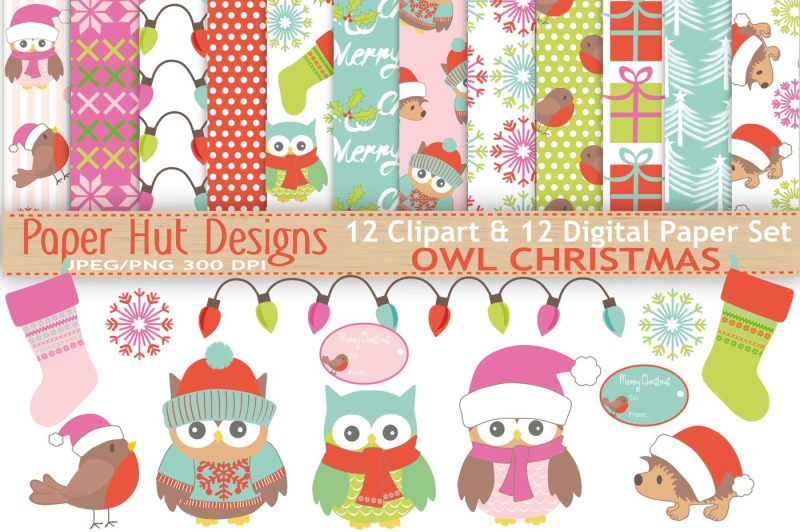 christmas-owl-clipart-and-digital-paper-set