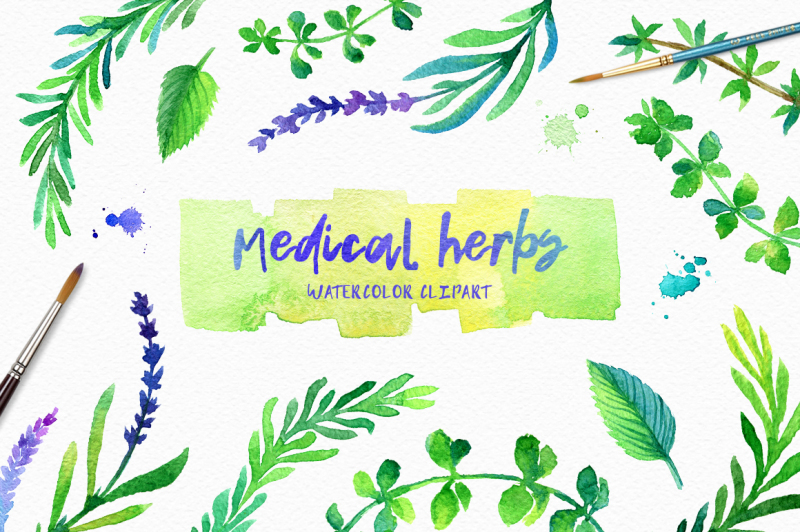 healing-herbs-watercolor-illustration