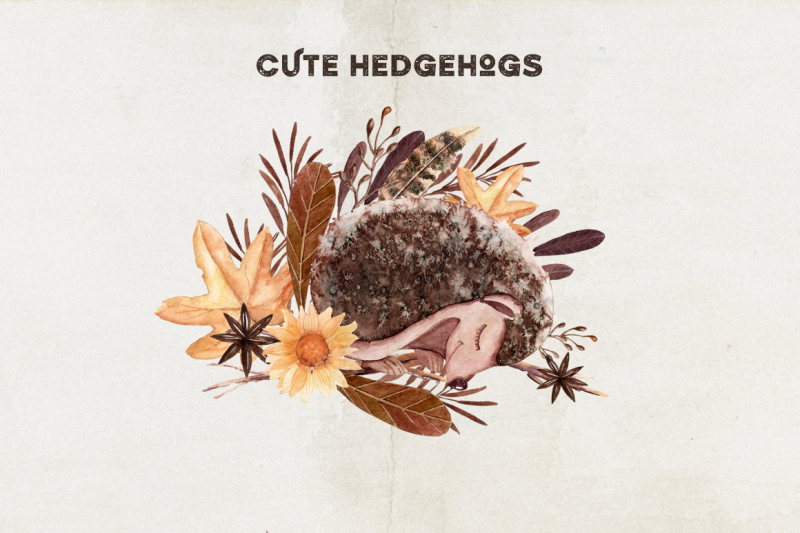 watercolor-autumn-hedgehogs