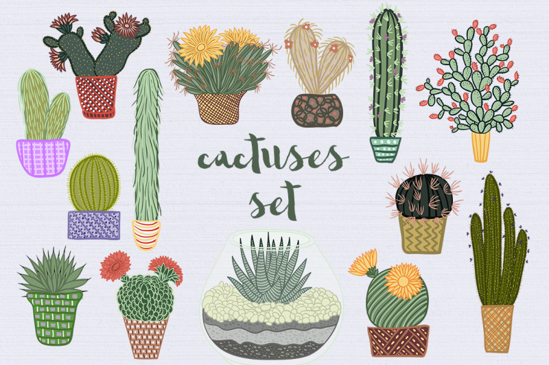 cactuses-set
