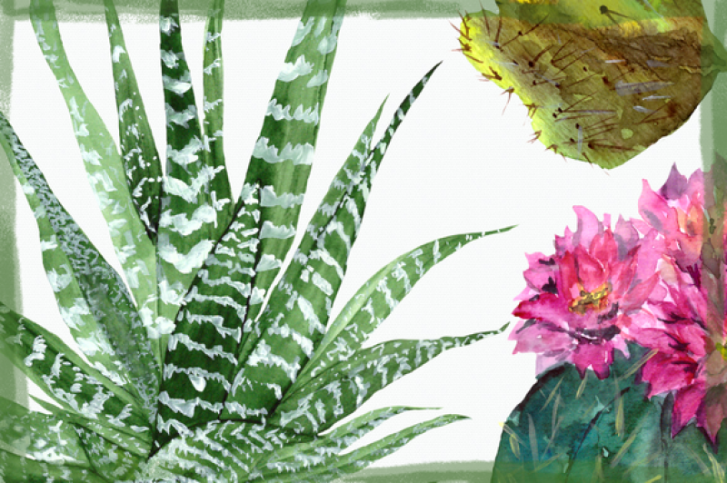 watercolor-cactuses-clip-art-set