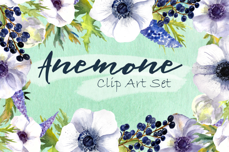 watercolor-anemone-flowers-clipart