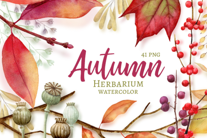 autumn-herbarium-watercolor-clipart