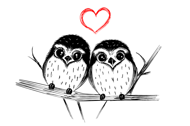 cute-owls-hand-drawn-illustration