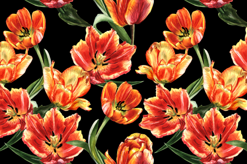 tulip-png-watercolor-flower-set