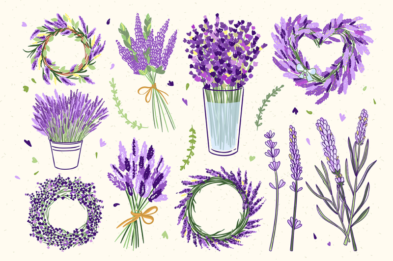 lavender-illustrations