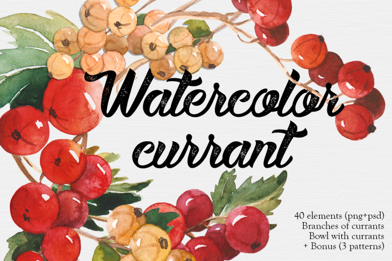 watercolor-currant