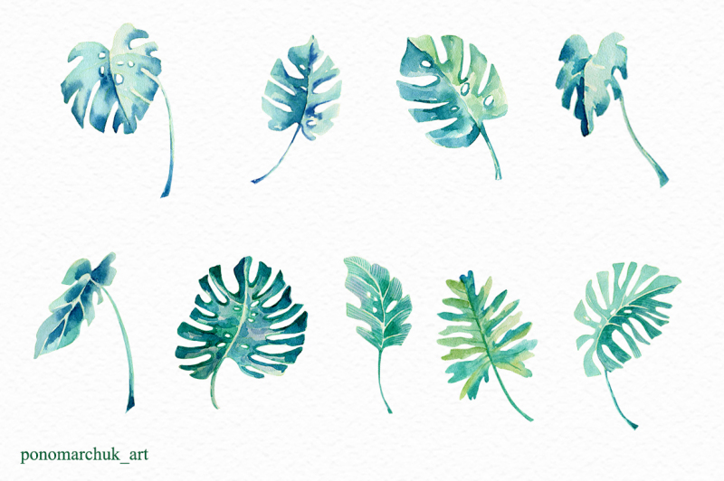 tropical-leaves-set