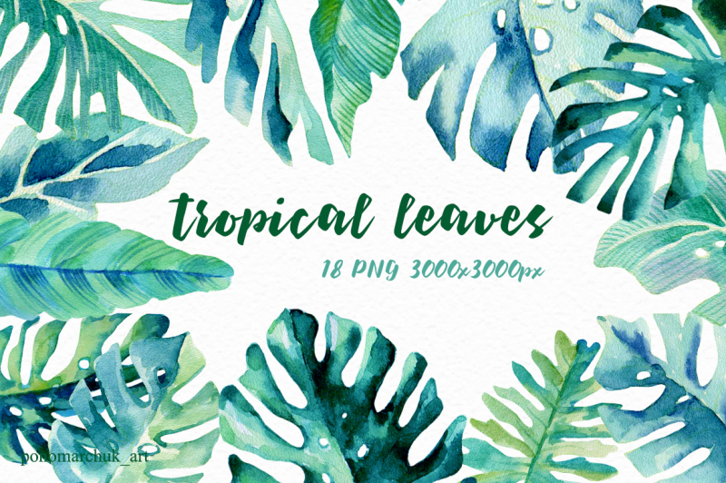 tropical-leaves-set