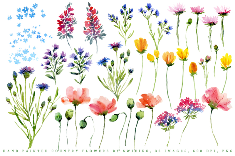 watercolor-country-flowers