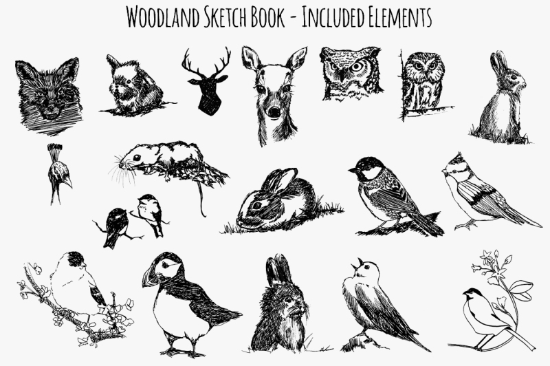 woodland-animal-sketch-vector-bundle