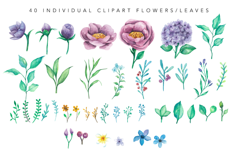 violita-floral-design-set-watercolor