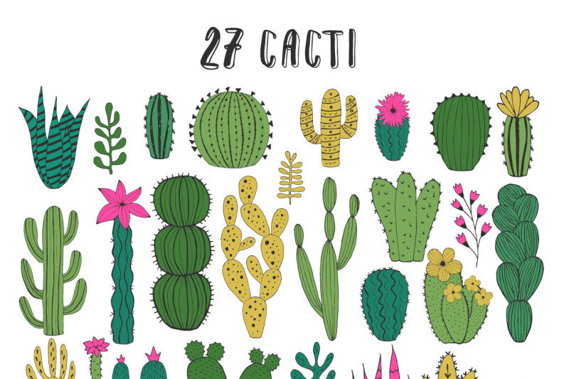 cactus-dreams