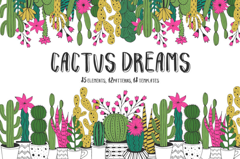 cactus-dreams