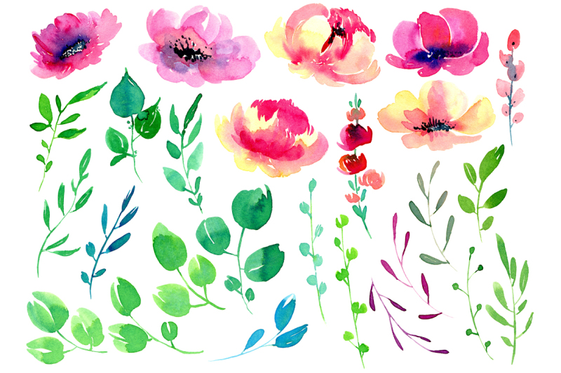 bright-watercolor-flowers-set