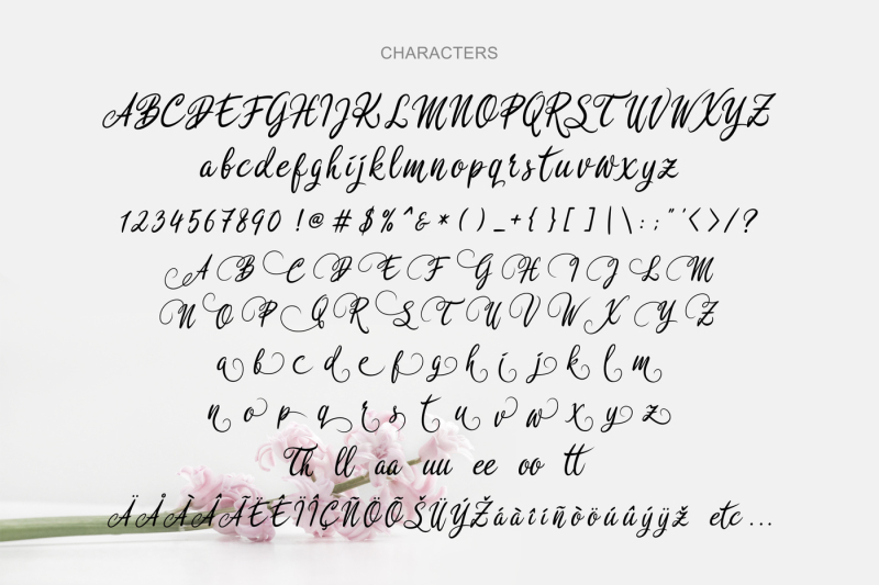 rosedita-script-font