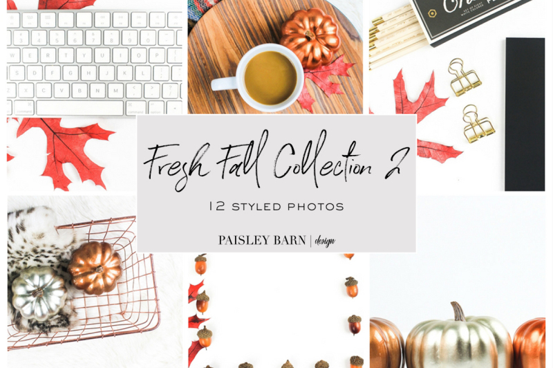 fresh-fall-collection-2