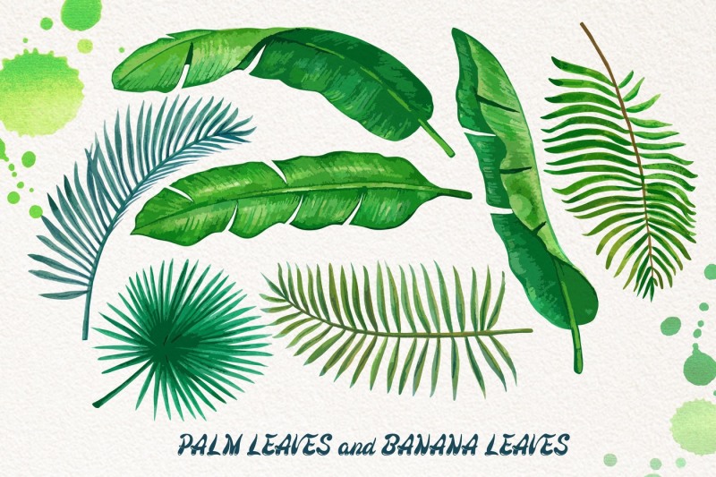 palm-and-banana-leaves-patterns