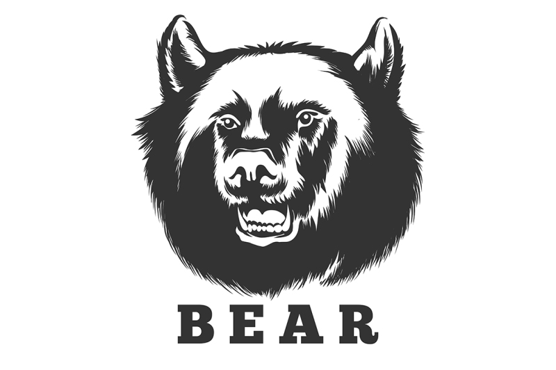 roaring-bear