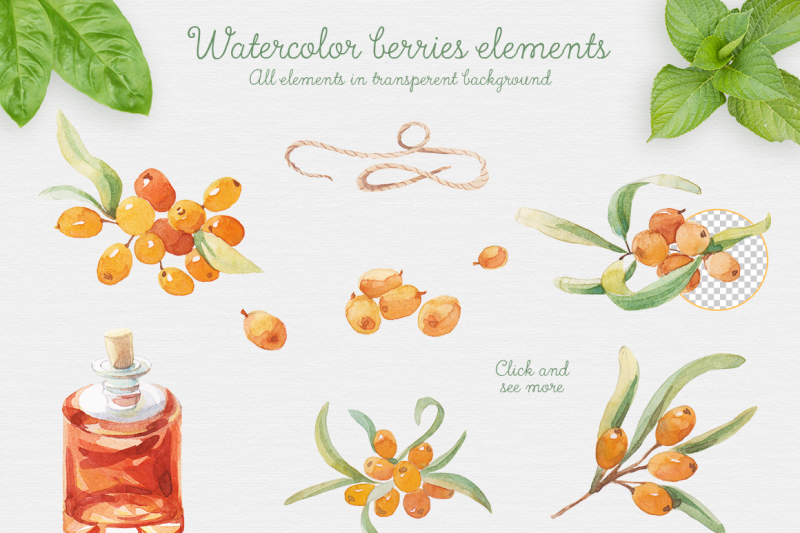 watercolor-sea-buckthorn