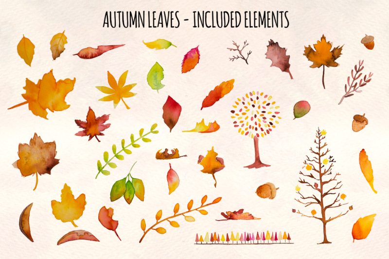 autumn-leaves-37-watercolor-elements