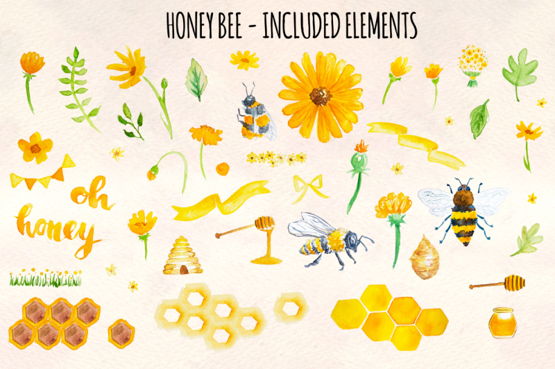 49-honey-bee-watercolor-elements