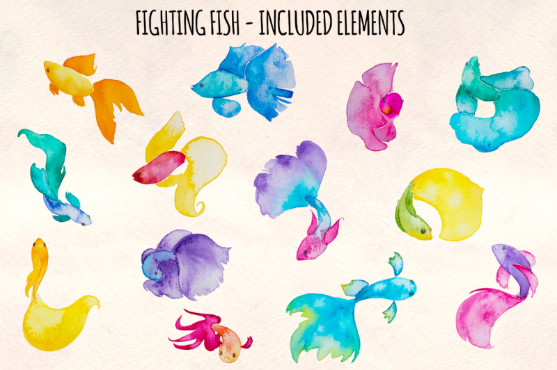 13-beta-fighting-fish-elements
