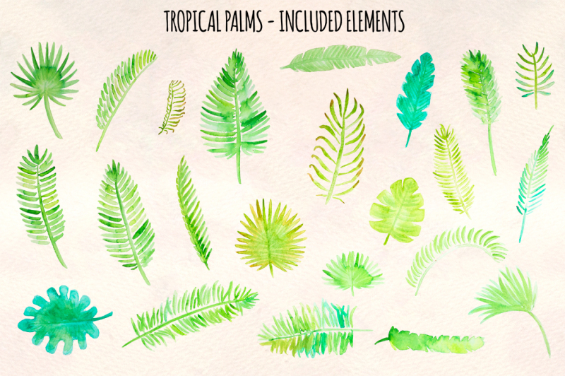 tropical-palm-leaves-23-elements