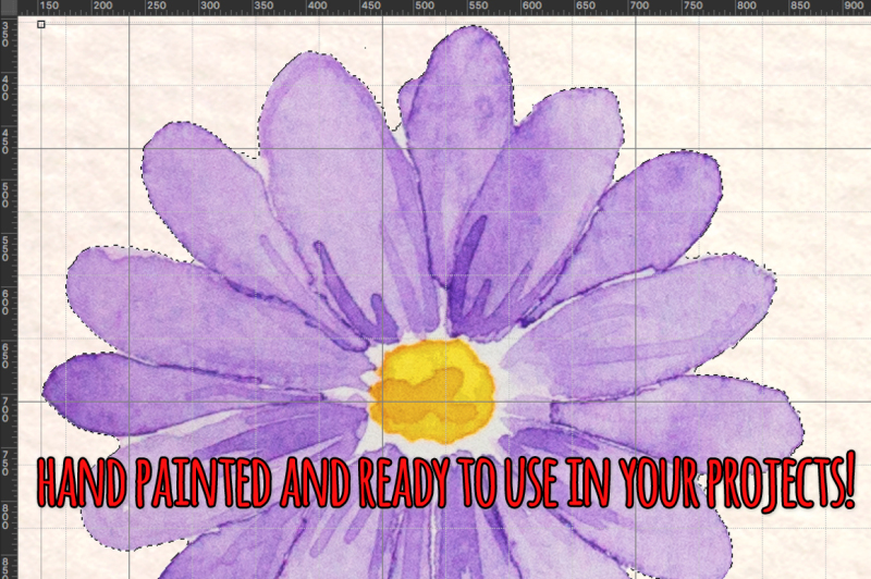 purple-daisies-32-watercolor-element