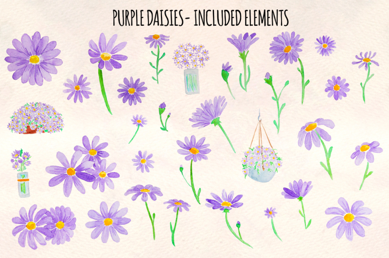 purple-daisies-32-watercolor-element